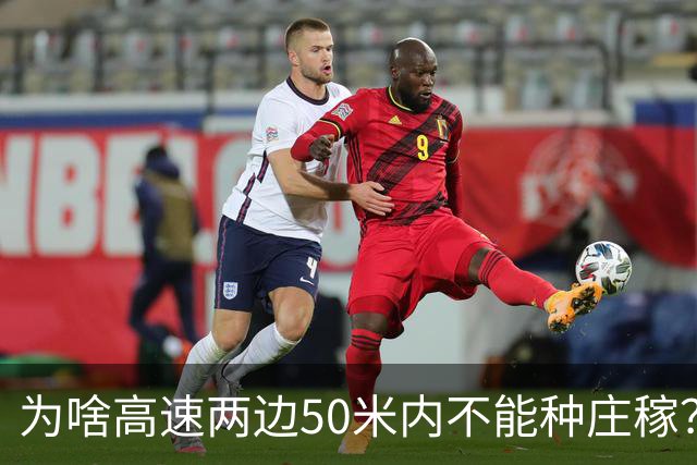 为啥高速两边50米内不能种庄稼？种出来的大米你可能不敢吃